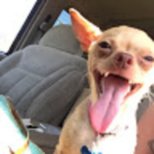 Meet your Posher, Raechelle